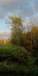 Landscape,Rivers,Autumn