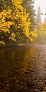 Paisaje,Ríos,Otoño