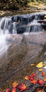 Landscape,Rivers,Autumn,Leaves