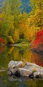 Landscape,Rivers,Autumn,Stones