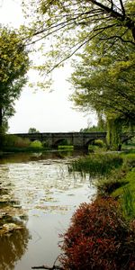 Landscape,Rivers,Bridges