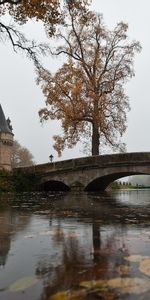 Landscape,Rivers,Bridges,Autumn,Leaves,Castles