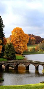 Landscape,Rivers,Bridges,Trees,Autumn