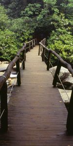 Landscape,Rivers,Bridges,Trees,Stones