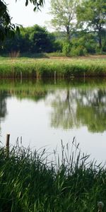 Landscape,Rivers,Grass