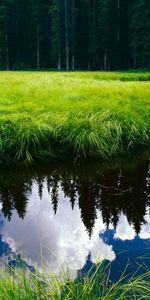 Landscape,Rivers,Grass