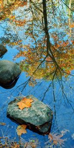 Landscape,Rivers,Leaves