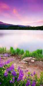 Landscape,Rivers,Mountains