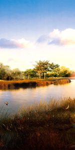 Landscape,Rivers,Palms