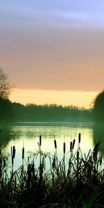 Rivières,Coucher De Soleil,Paysage