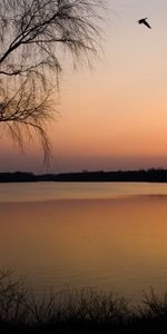 Paysage,Rivières,Coucher De Soleil