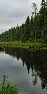 Árboles,Paisaje,Ríos