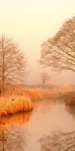 Landscape,Rivers,Trees