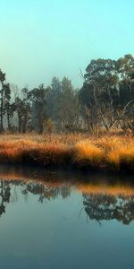 Landscape,Rivers,Trees