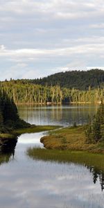 Landscape,Rivers,Trees