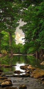 Landscape,Rivers,Trees