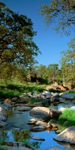 Landscape,Rivers,Trees