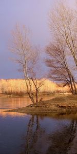 Landscape,Rivers,Trees