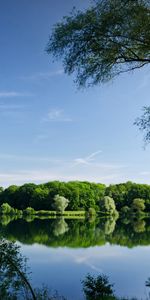 Landscape,Rivers,Trees