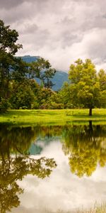 Arbres,Paysage,Rivières