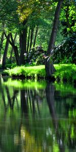 Paysage,Arbres,Rivières