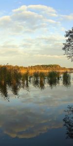 Landscape,Rivers,Trees