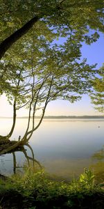 Landscape,Rivers,Trees