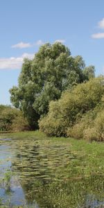 Landscape,Rivers,Trees