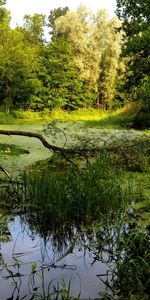 Landscape,Rivers,Trees