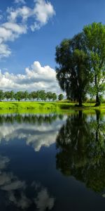 Paysage,Rivières,Arbres