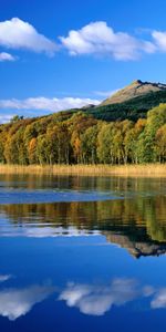 Landscape,Rivers,Trees