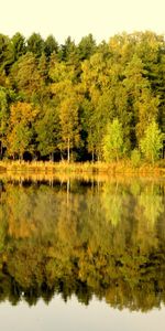 Landscape,Rivers,Trees