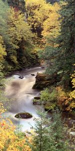 Landscape,Rivers,Trees