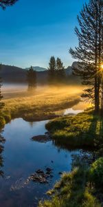 Landscape,Rivers,Trees