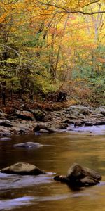 Landscape,Rivers,Trees