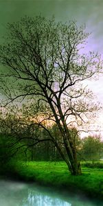 Landscape,Rivers,Trees