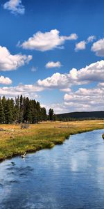 Деревья,Река,Пейзаж