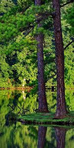 Landscape,Rivers,Trees