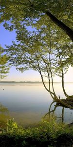 Landscape,Rivers,Trees