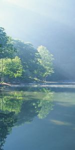 Landscape,Rivers,Trees