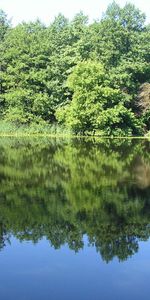 Landscape,Rivers,Trees