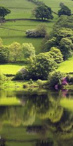 Landscape,Rivers,Trees