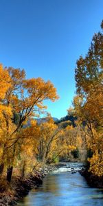 Landscape,Rivers,Trees,Autumn