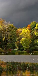 Arbres,Rivières,Paysage,Automne