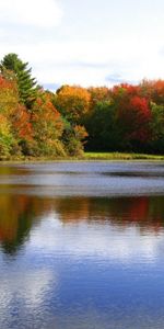 Landscape,Rivers,Trees,Autumn