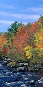 Landscape,Rivers,Trees,Autumn