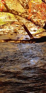 Landscape,Rivers,Trees,Autumn