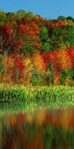 Paisaje,Árboles,Otoño,Ríos