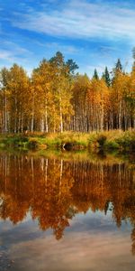 Arbres,Rivières,Paysage,Automne