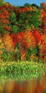 Landscape,Rivers,Trees,Autumn